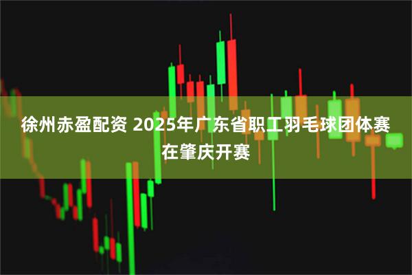徐州赤盈配资 2025年广东省职工羽毛球团体赛在肇庆开赛