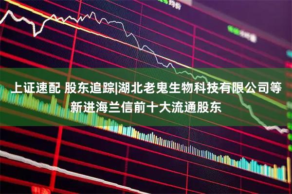 上证速配 股东追踪|湖北老鬼生物科技有限公司等新进海兰信前十大流通股东