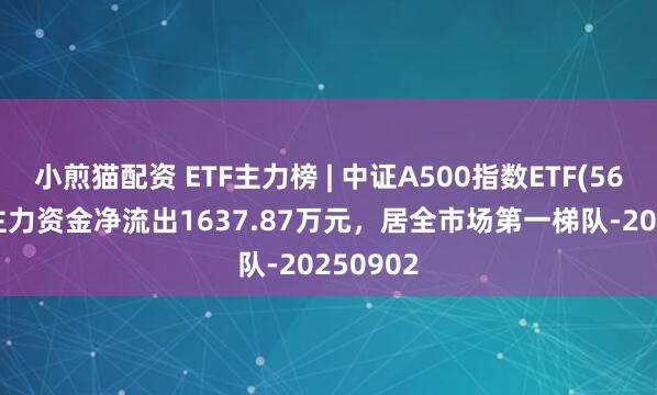 小煎猫配资 ETF主力榜 | 中证A500指数ETF(563880)主力资金净流出1637.87万元，居全市场第一梯队-20250902